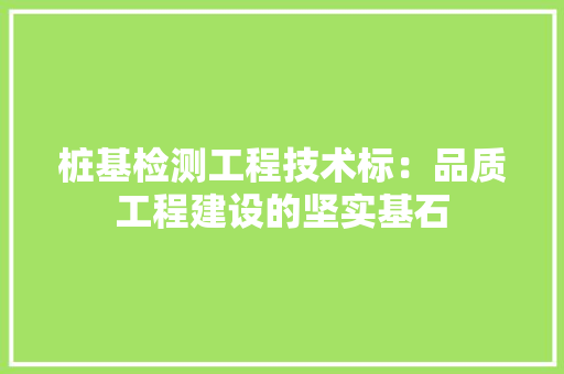 桩基检测工程技术标：品质工程建设的坚实基石 室内设计