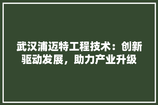 武汉浦迈特工程技术：创新驱动发展，助力产业升级