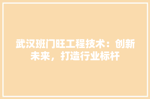武汉班门旺工程技术：创新未来，打造行业标杆 室内设计