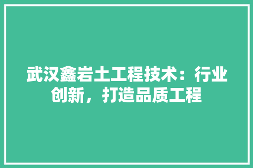 武汉鑫岩土工程技术：行业创新，打造品质工程