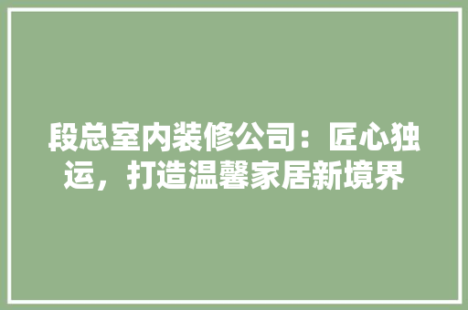 段总室内装修公司：匠心独运，打造温馨家居新境界 室内设计