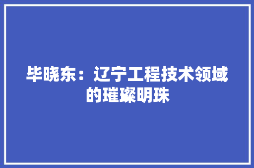 毕晓东：辽宁工程技术领域的璀璨明珠 室内设计