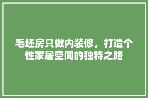 毛坯房只做内装修，打造个性家居空间的独特之路 室内设计