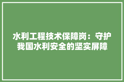 水利工程技术保障岗：守护我国水利安全的坚实屏障 室内设计