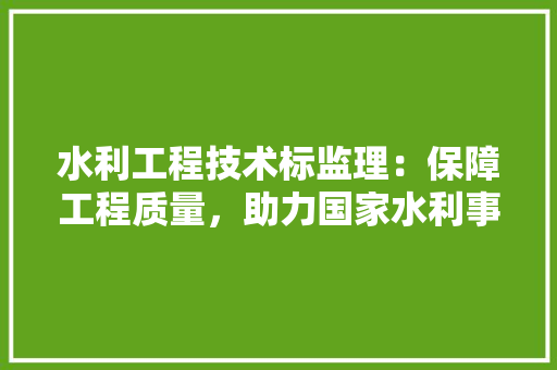 水利工程技术标监理：保障工程质量，助力国家水利事业 室内设计