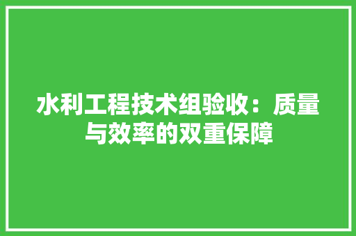 水利工程技术组验收：质量与效率的双重保障 室内设计