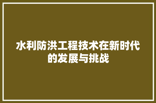 水利防洪工程技术在新时代的发展与挑战 室内设计