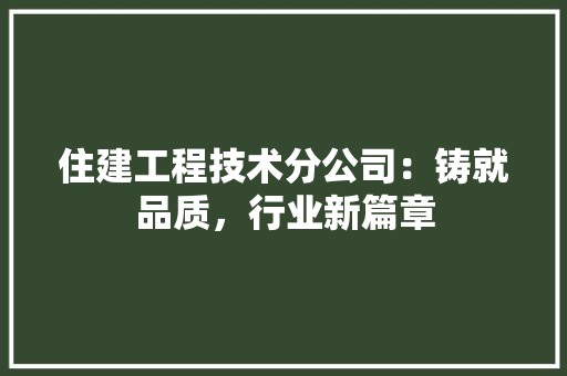 住建工程技术分公司：铸就品质，行业新篇章 家居装修