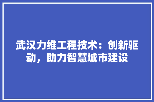 武汉力维工程技术：创新驱动，助力智慧城市建设