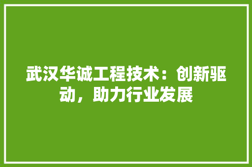 武汉华诚工程技术：创新驱动，助力行业发展