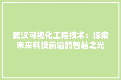 武汉可视化工程技术：探索未来科技前沿的智慧之光