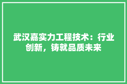 武汉嘉实力工程技术：行业创新，铸就品质未来