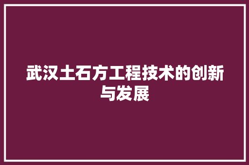 武汉土石方工程技术的创新与发展 室内设计