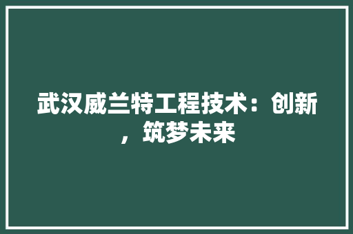 武汉威兰特工程技术：创新，筑梦未来