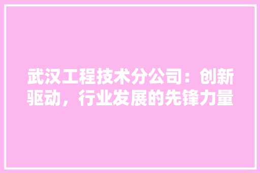 武汉工程技术分公司：创新驱动，行业发展的先锋力量 室内设计