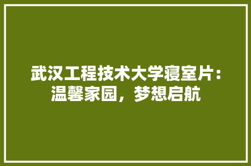 武汉工程技术大学寝室片：温馨家园，梦想启航