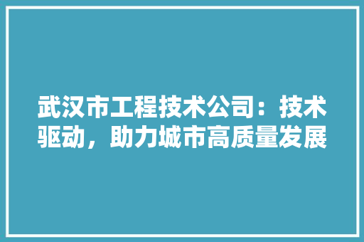 武汉市工程技术公司：技术驱动，助力城市高质量发展