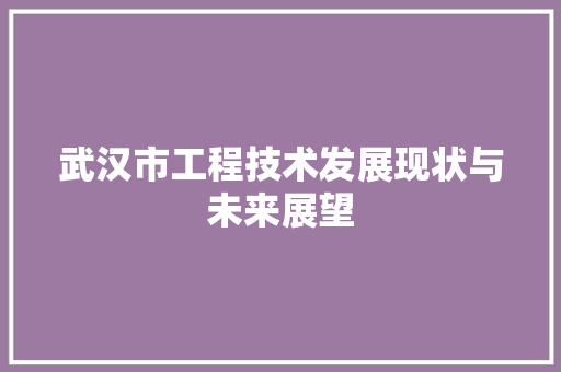 武汉市工程技术发展现状与未来展望
