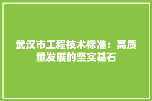 武汉市工程技术标准：高质量发展的坚实基石 室内设计