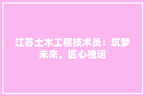 江苏土木工程技术员：筑梦未来，匠心独运 室内设计