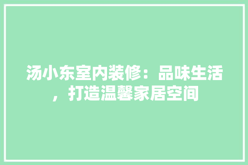 汤小东室内装修：品味生活，打造温馨家居空间 室内设计