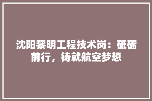 沈阳黎明工程技术岗：砥砺前行，铸就航空梦想 室内设计