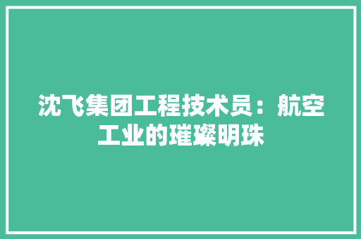 沈飞集团工程技术员：航空工业的璀璨明珠
