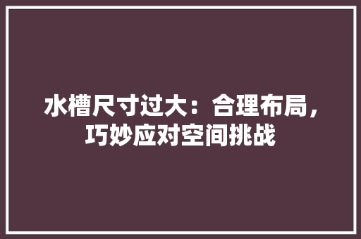 水槽尺寸过大：合理布局，巧妙应对空间挑战