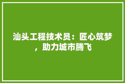 汕头工程技术员：匠心筑梦，助力城市腾飞 室内设计