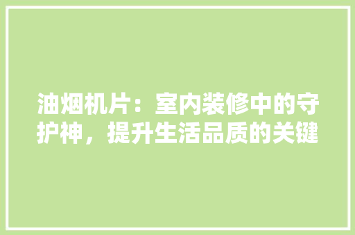 油烟机片：室内装修中的守护神，提升生活品质的关键一环
