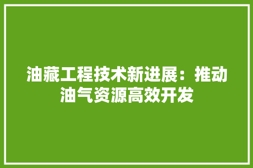 油藏工程技术新进展：推动油气资源高效开发 室内设计