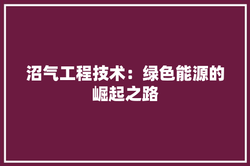 沼气工程技术：绿色能源的崛起之路 室内设计