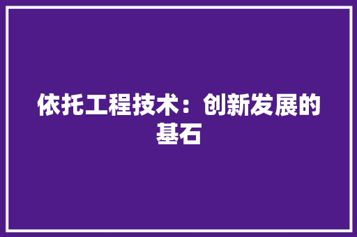 依托工程技术：创新发展的基石 家居装修