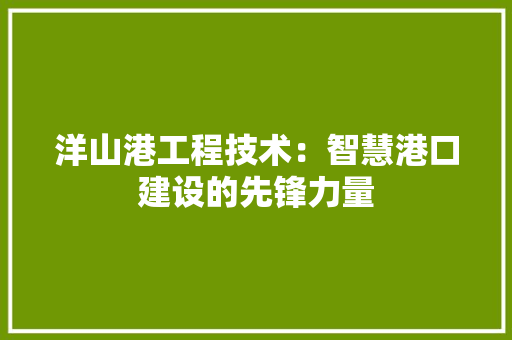洋山港工程技术：智慧港口建设的先锋力量 室内设计