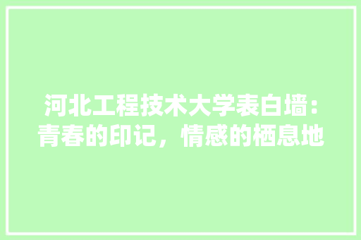 河北工程技术大学表白墙：青春的印记，情感的栖息地 室内设计