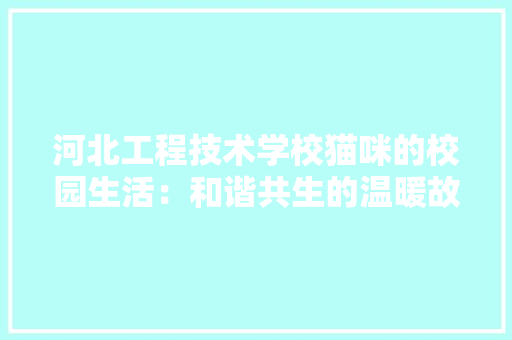 河北工程技术学校猫咪的校园生活：和谐共生的温暖故事 室内设计
