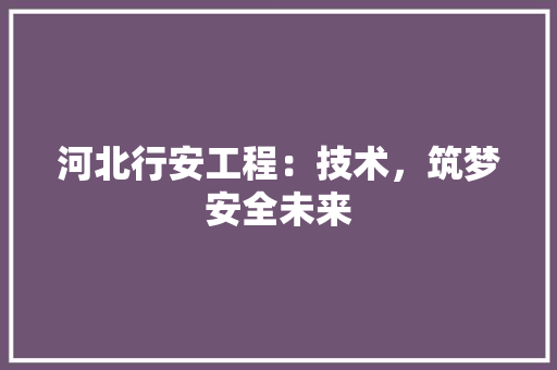 河北行安工程：技术，筑梦安全未来 室内设计