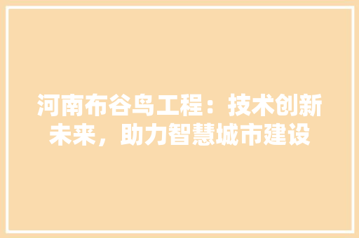 河南布谷鸟工程：技术创新未来，助力智慧城市建设