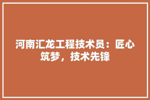 河南汇龙工程技术员：匠心筑梦，技术先锋