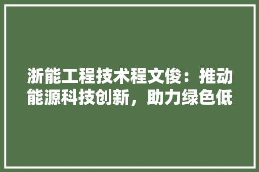 浙能工程技术程文俊：推动能源科技创新，助力绿色低碳发展 室内设计