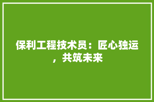 保利工程技术员：匠心独运，共筑未来 家居装修