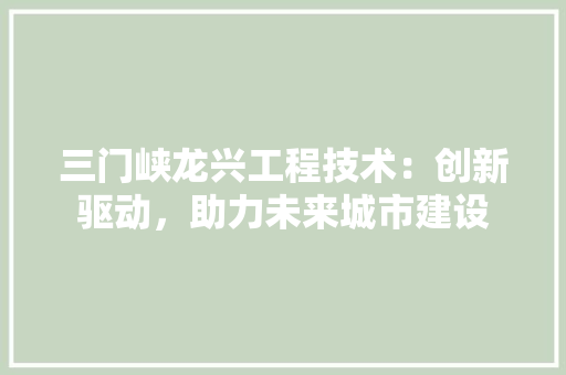 三门峡龙兴工程技术：创新驱动，助力未来城市建设 地板材料