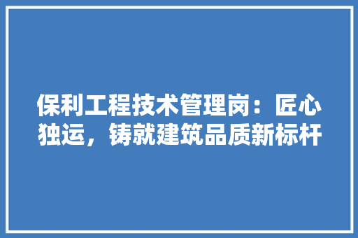 保利工程技术管理岗：匠心独运，铸就建筑品质新标杆 家居装修