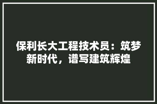 保利长大工程技术员：筑梦新时代，谱写建筑辉煌 家居装修