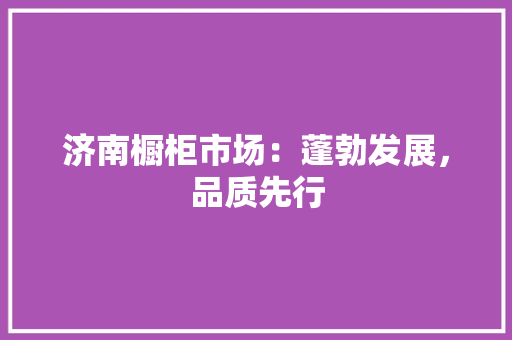 济南橱柜市场：蓬勃发展，品质先行 室内设计