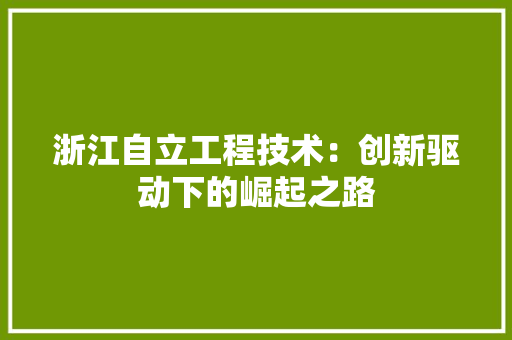浙江自立工程技术：创新驱动下的崛起之路
