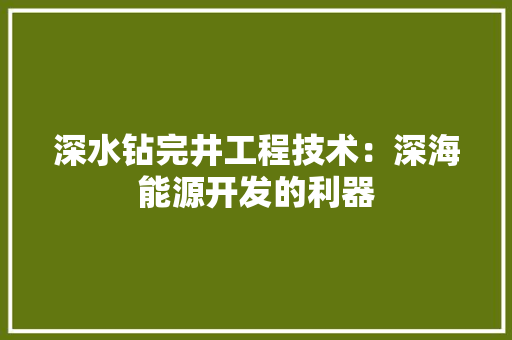 深水钻完井工程技术：深海能源开发的利器 室内设计