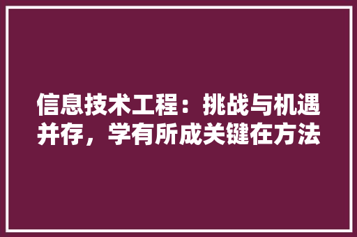 信息技术工程：挑战与机遇并存，学有所成关键在方法 家居装修