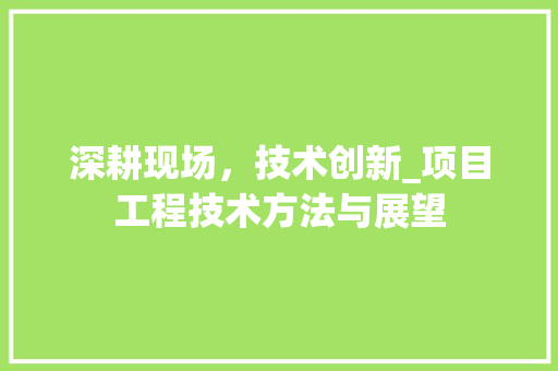 深耕现场，技术创新_项目工程技术方法与展望 室内设计