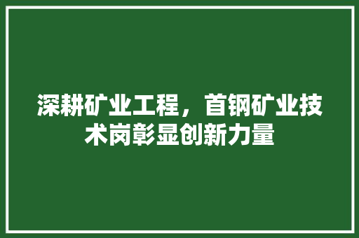 深耕矿业工程，首钢矿业技术岗彰显创新力量